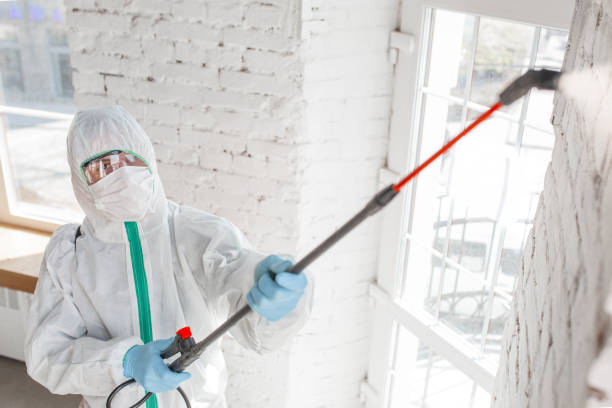  East Berwick, PA Mold Removal Pros